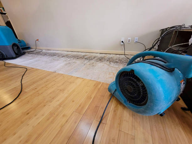 Professional Basement Flood Cleanup technician working in Elkins Park, PA